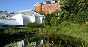 Hotel Northampton's botanical garden.