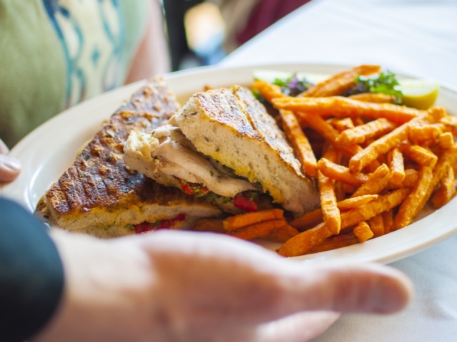Panini plate served with fries